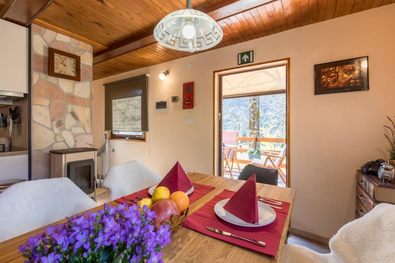 Vila Rozi, Osilnica - Vacation House Pr' Vili Rozi Exteriör bild