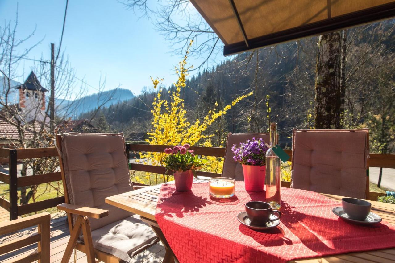 Vila Rozi, Osilnica - Vacation House Pr' Vili Rozi Exteriör bild
