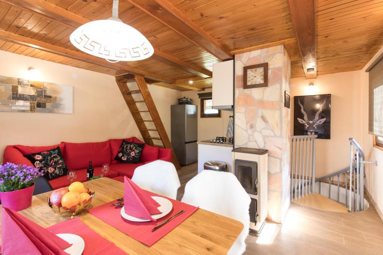 Vila Rozi, Osilnica - Vacation House Pr' Vili Rozi Exteriör bild
