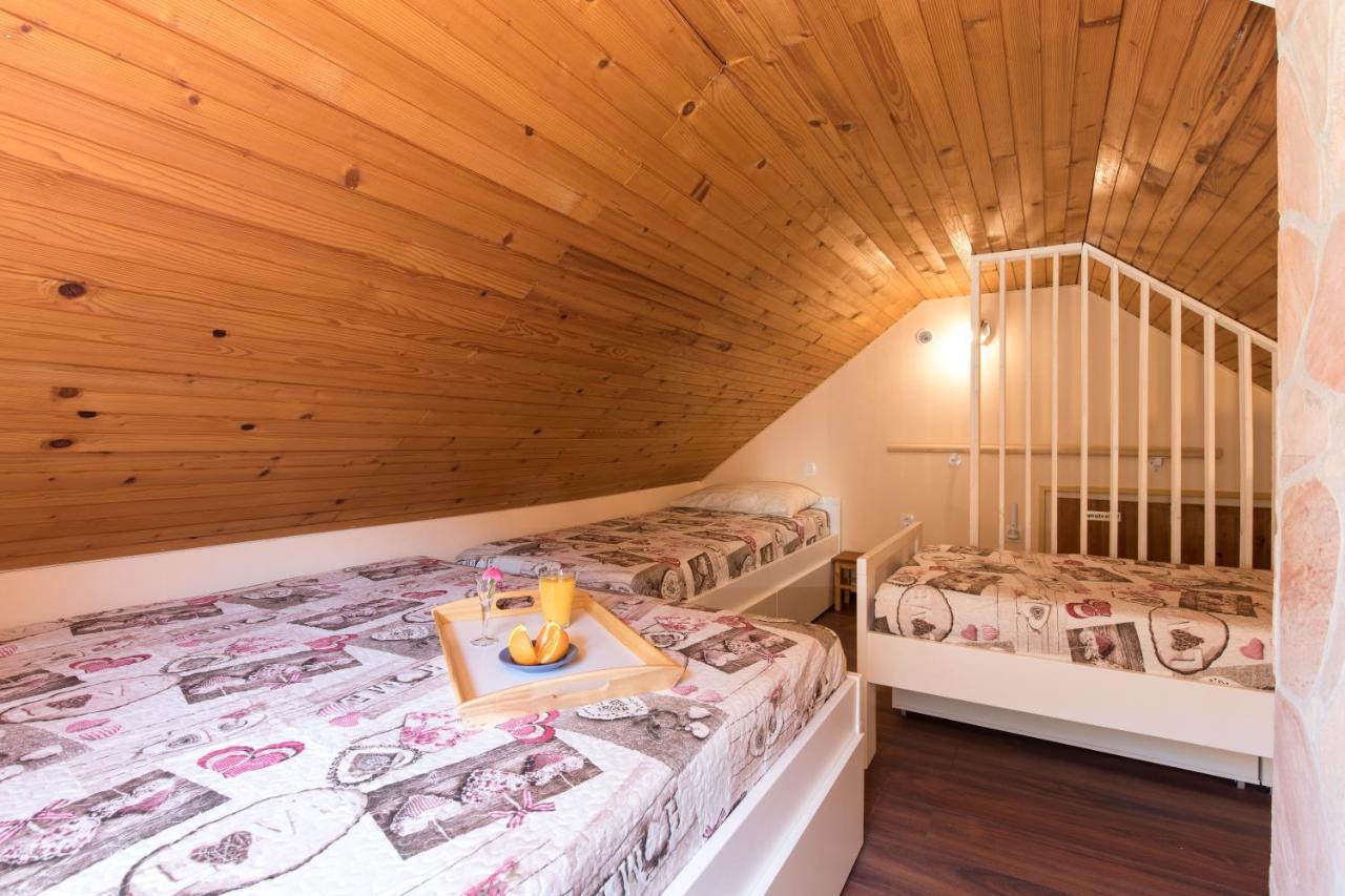 Vila Rozi, Osilnica - Vacation House Pr' Vili Rozi Exteriör bild