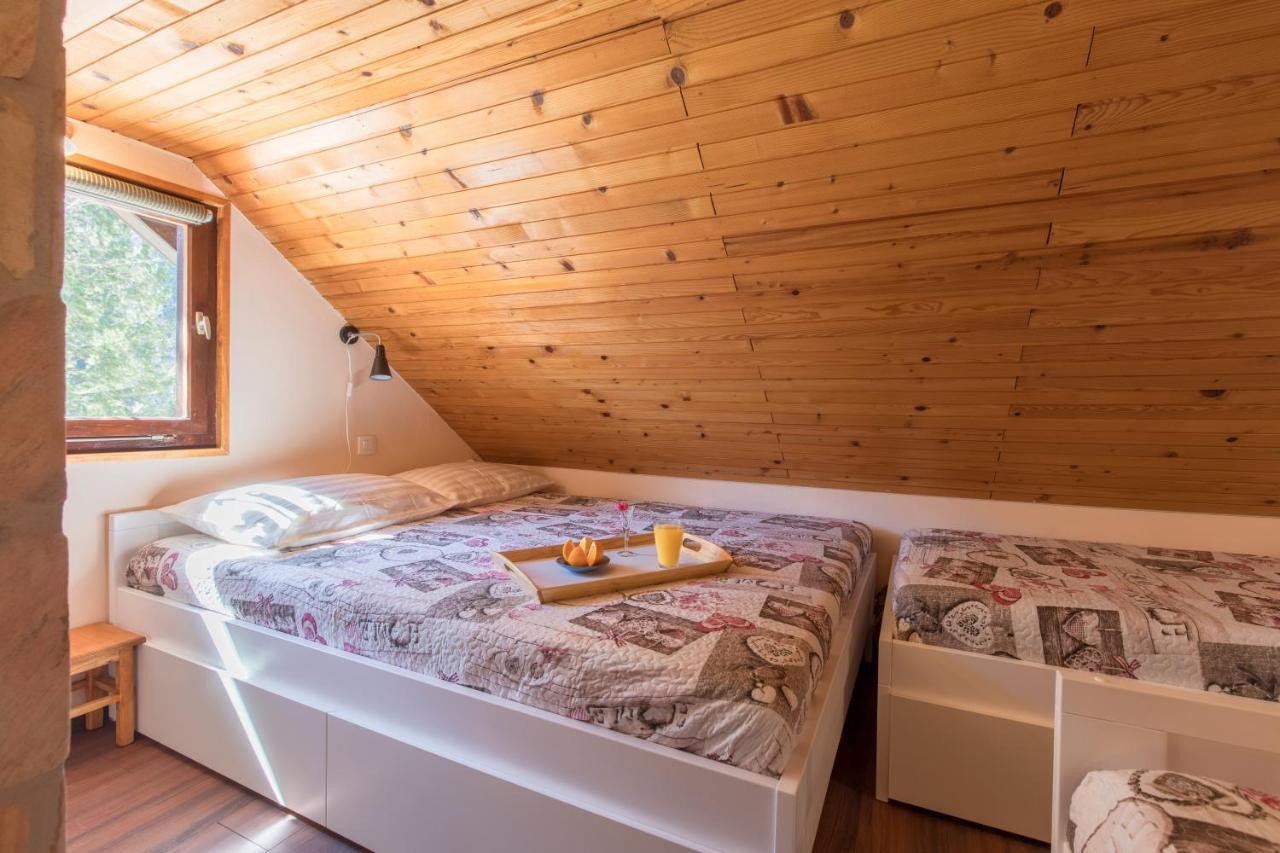 Vila Rozi, Osilnica - Vacation House Pr' Vili Rozi Exteriör bild