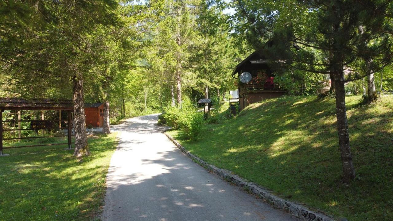 Vila Rozi, Osilnica - Vacation House Pr' Vili Rozi Exteriör bild
