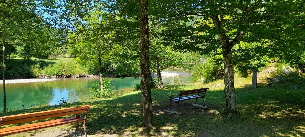 Vila Rozi, Osilnica - Vacation House Pr' Vili Rozi Exteriör bild